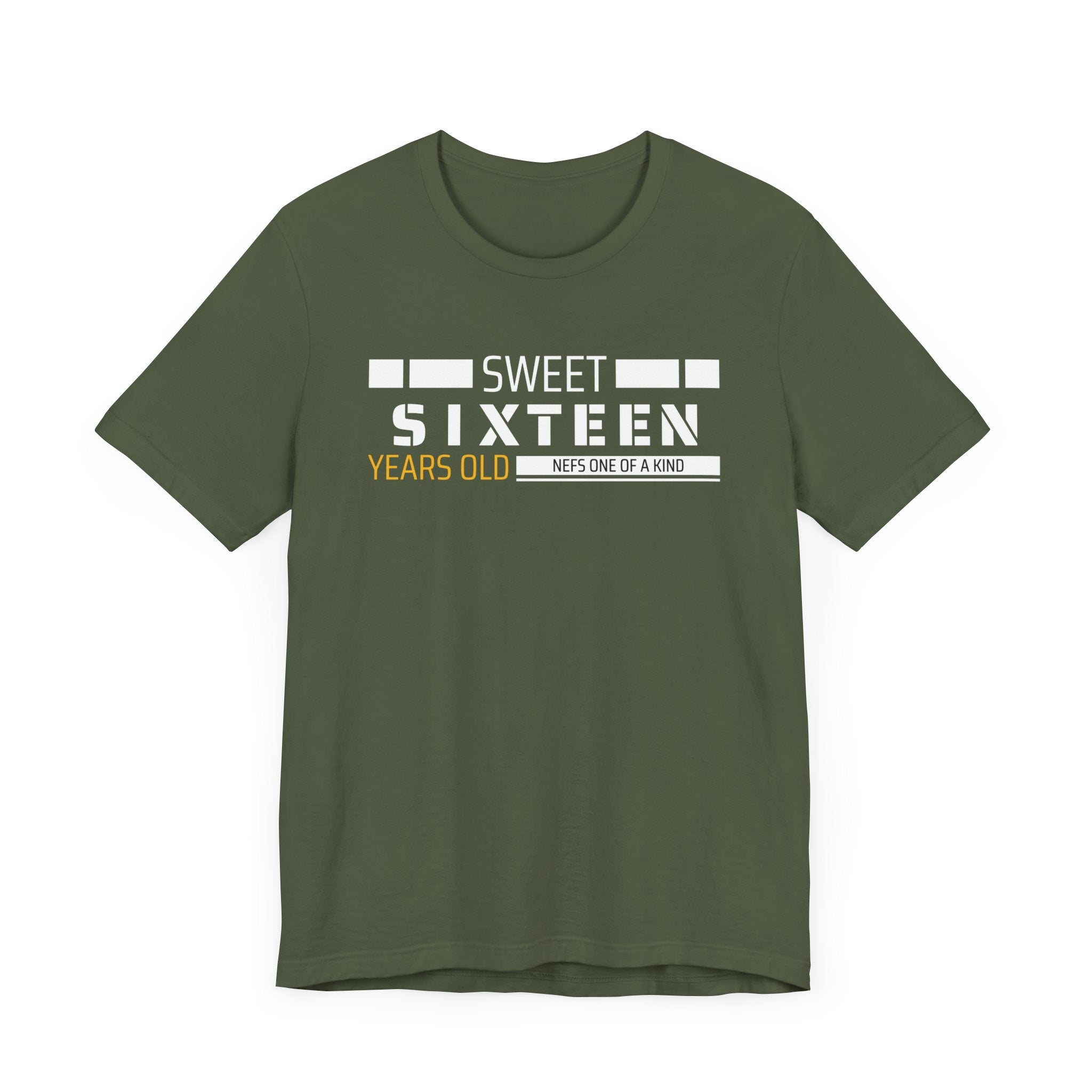 Sixteen year old Unisex Adult Tee